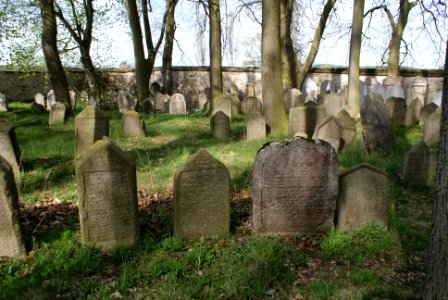 Jewish cemetery in Březnice 33 photo