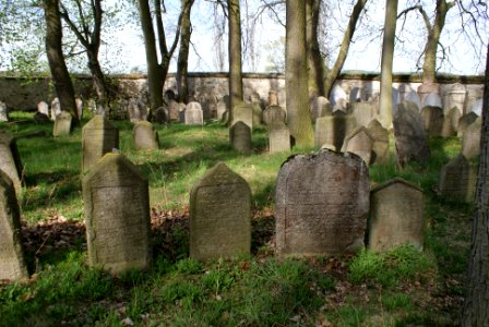 Jewish cemetery in Březnice 33