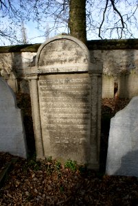 Jewish cemetery in Březnice 28