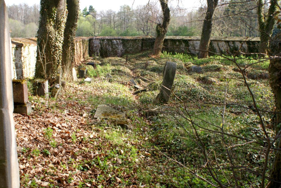 Jewish cemetery in Březnice 24