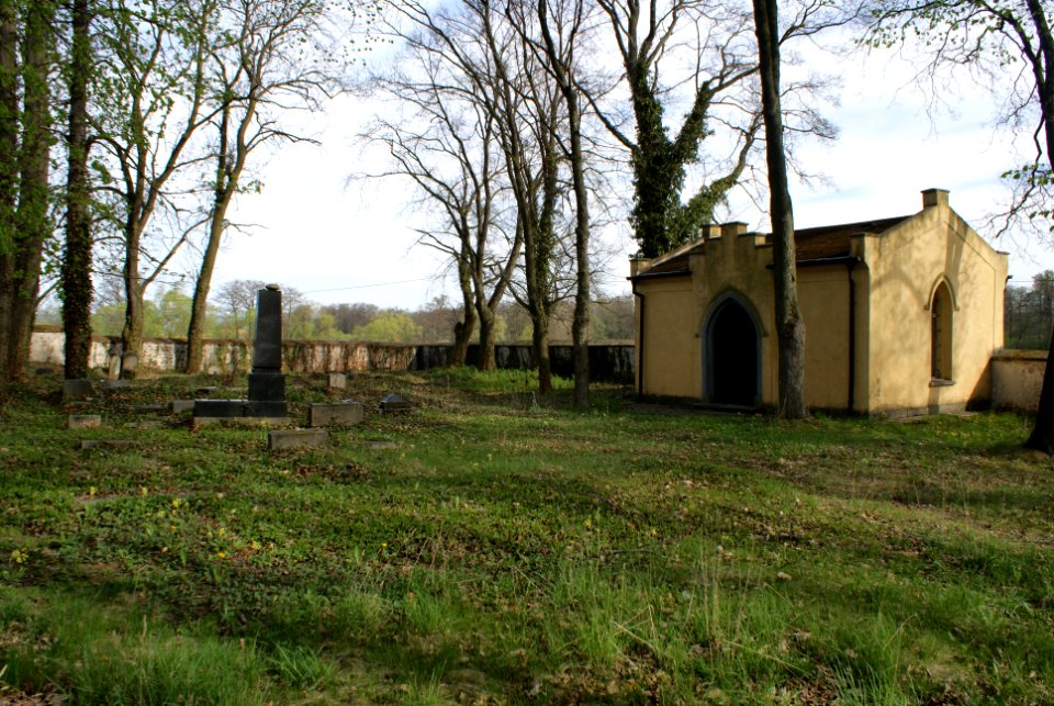 Jewish cemetery in Březnice 11