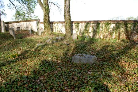 Jewish cemetery in Březnice 17