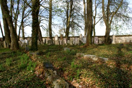 Jewish cemetery in Březnice 15