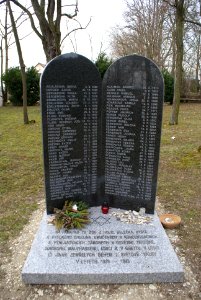 Jewish cemetery in Holice 07