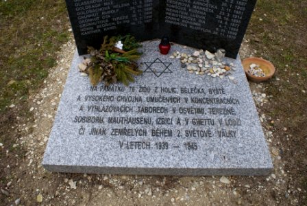 Jewish cemetery in Holice 04