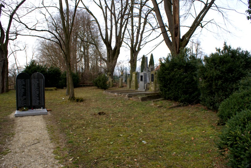 Jewish cemetery in Holice 03