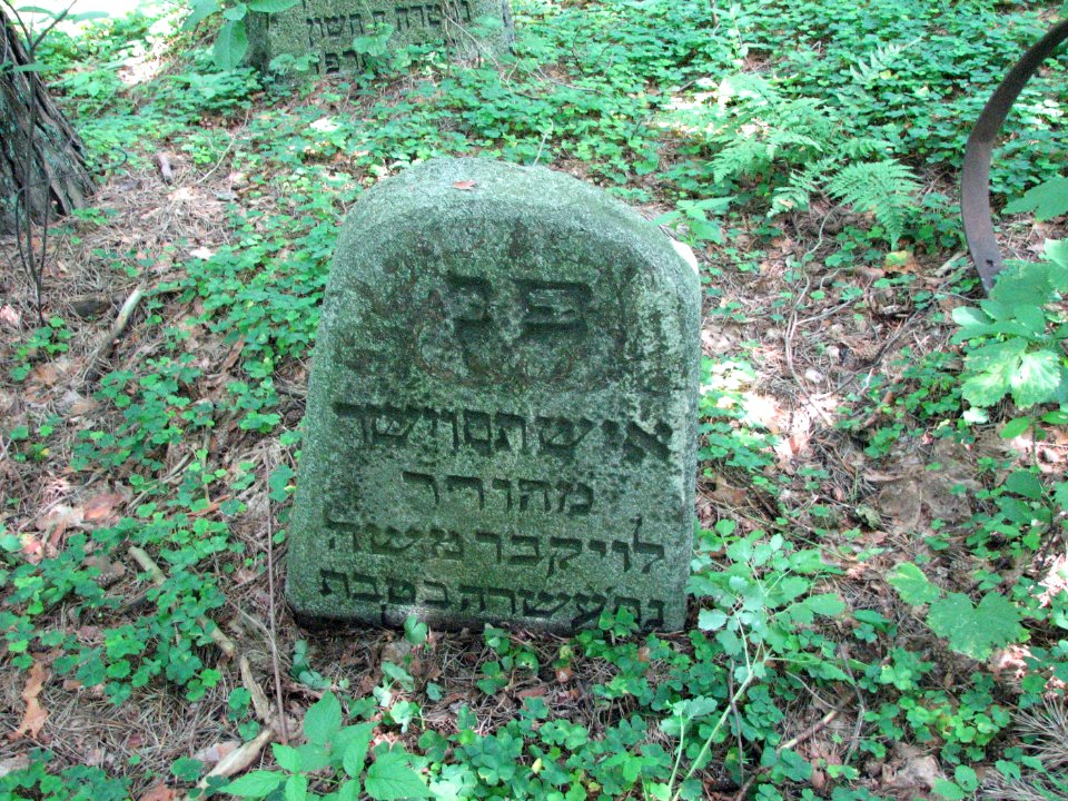 Jewish cemetery in Beshankovichy 22