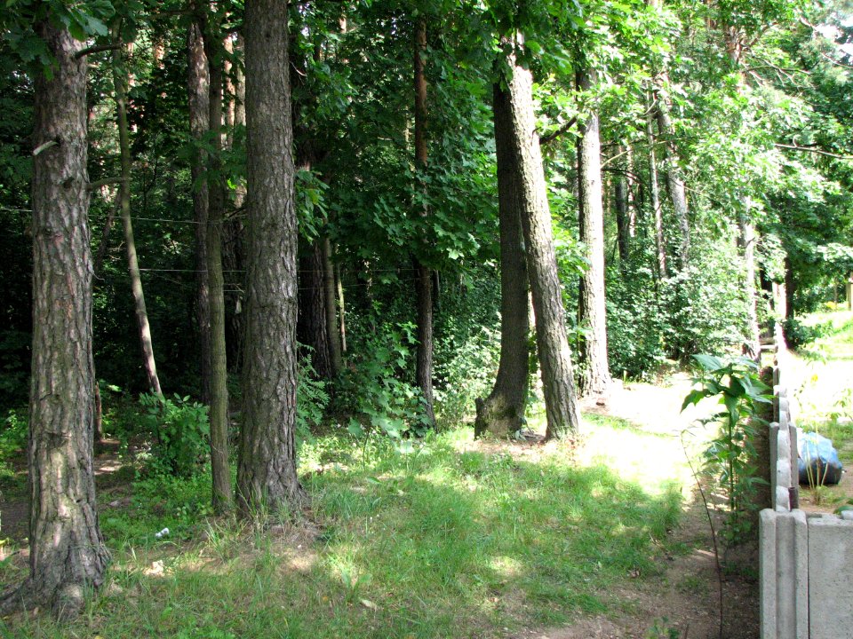 Jewish cemetery in Beshankovichy 27
