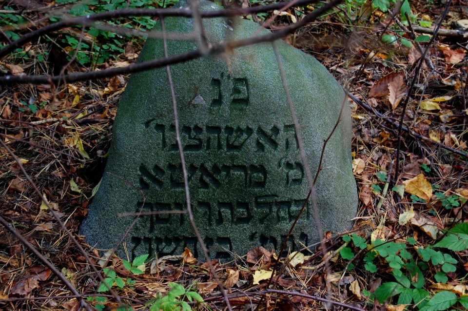 Jewish cemetery in Beshankovichy 12