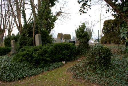 Jewish cemetery in Holice 05