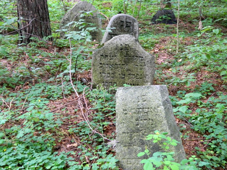 Jewish cemetery in Beshankovichy (6)