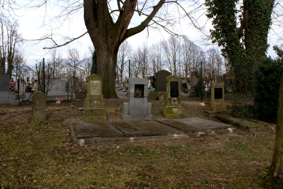 Jewish cemetery in Holice 09