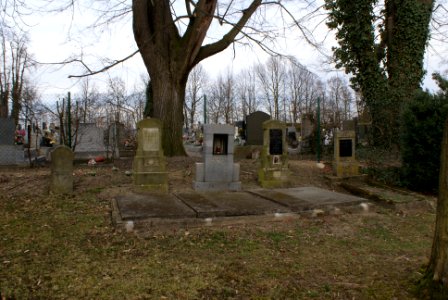 Jewish cemetery in Holice 09