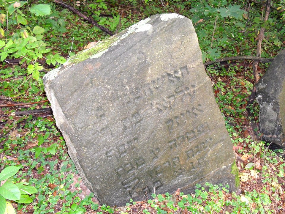 Jewish cemetery in Beshankovichy 17