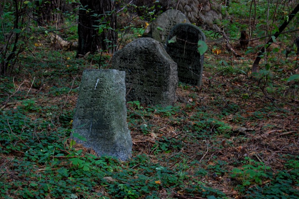 Jewish cemetery in Beshankovichy (20)