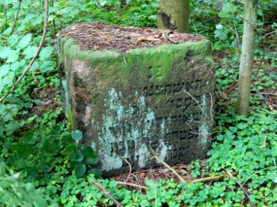 Jewish cemetery in Beshankovichy (5)