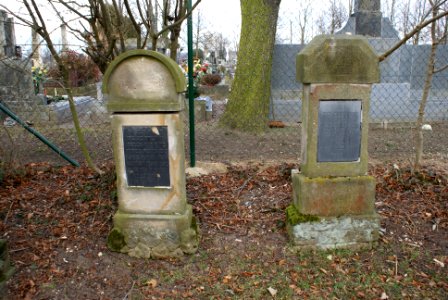 Jewish cemetery in Holice 12