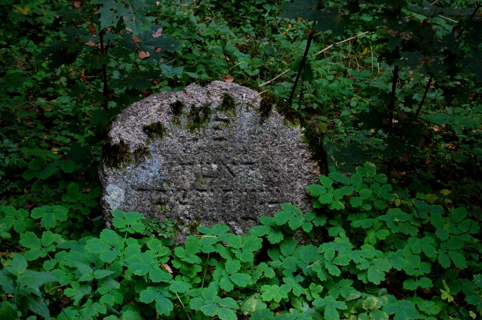 Jewish cemetery in Beshankovichy 05