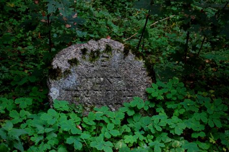 Jewish cemetery in Beshankovichy 05
