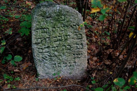 Jewish cemetery in Beshankovichy 11