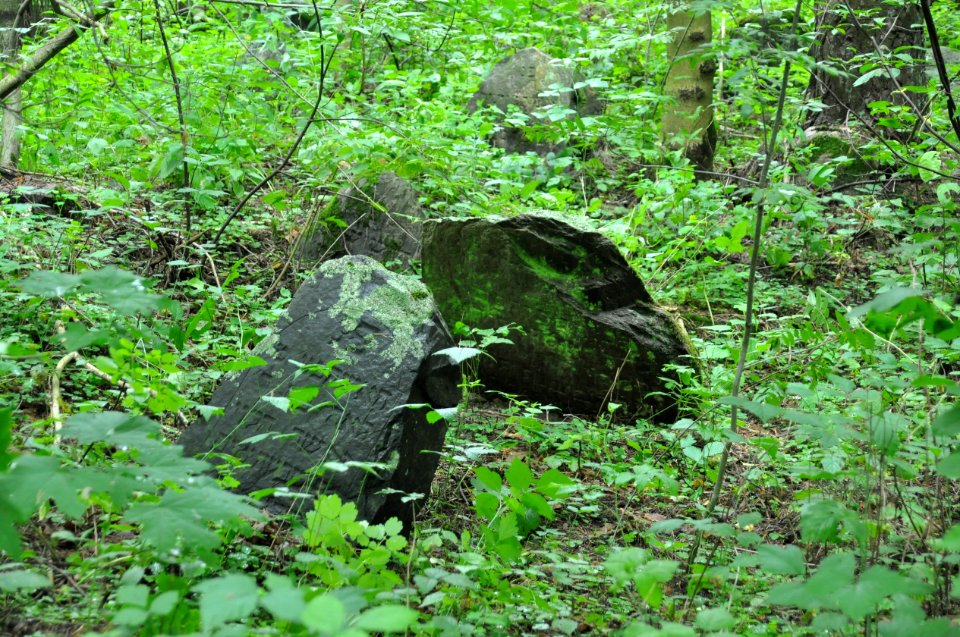 Jewish cemetery in Beshankovichy (8)