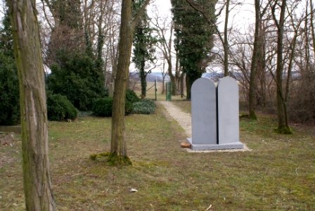 Jewish cemetery in Holice 15