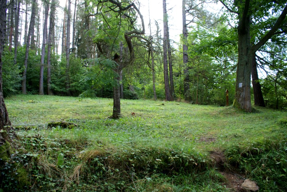 Jewish cemetery in Hartmanice 01