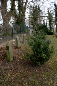 Jewish cemetery in Holice 13