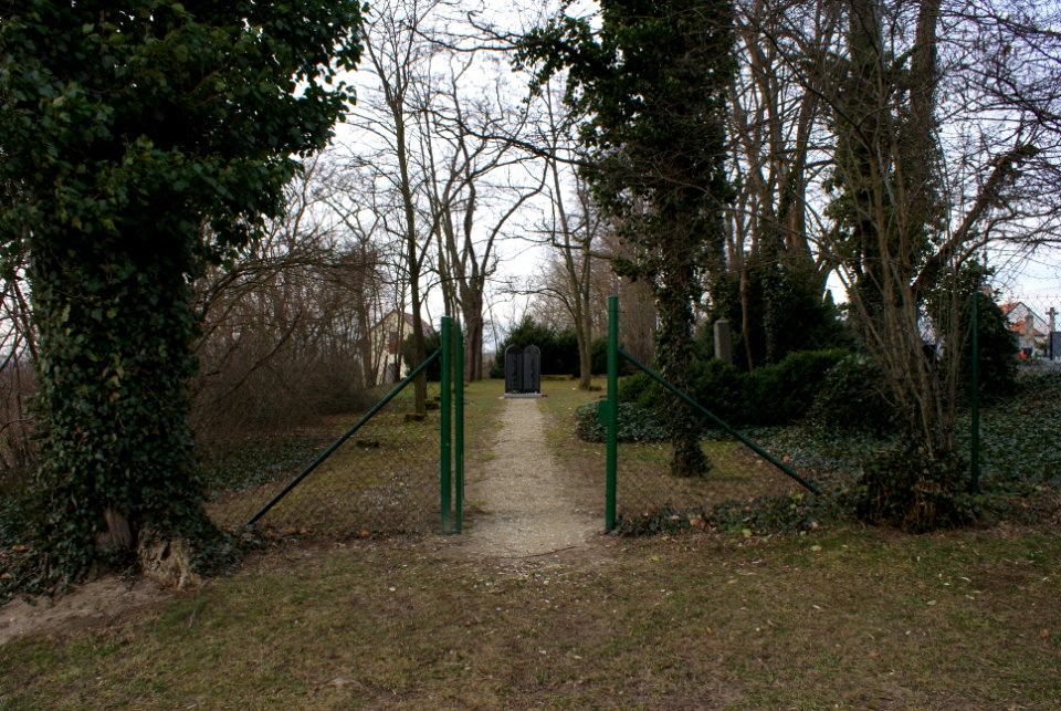 Jewish cemetery in Holice 02