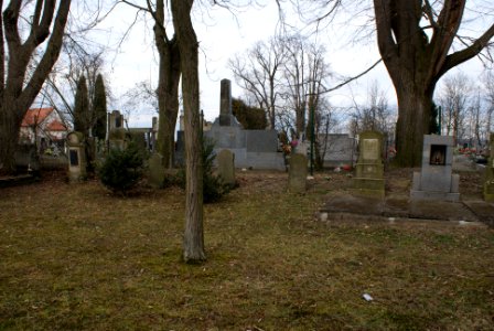Jewish cemetery in Holice 10