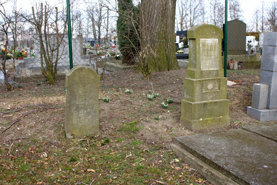Jewish cemetery in Holice 14