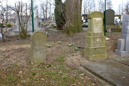 Jewish cemetery in Holice 14