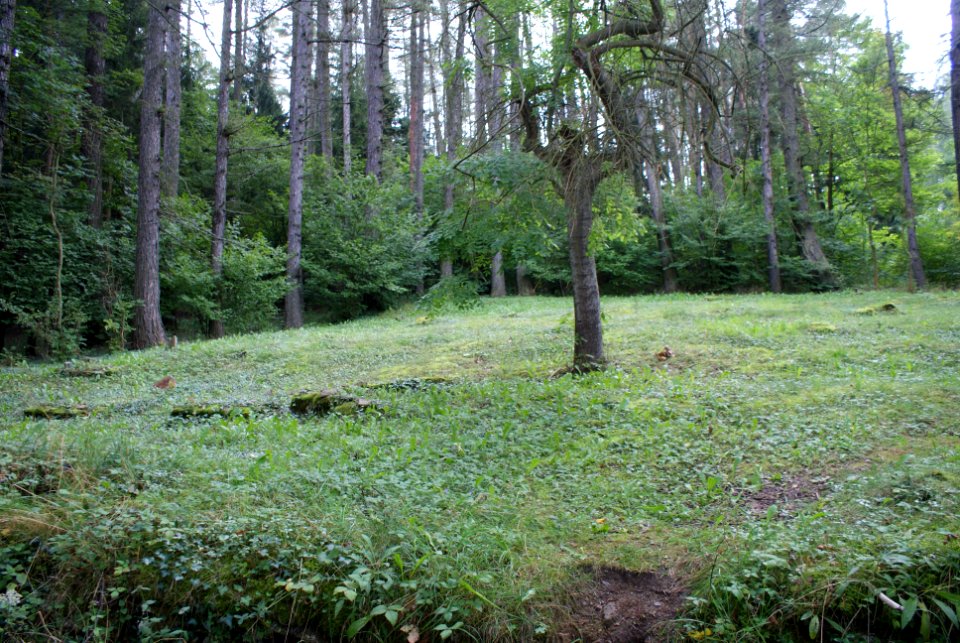 Jewish cemetery in Hartmanice 04