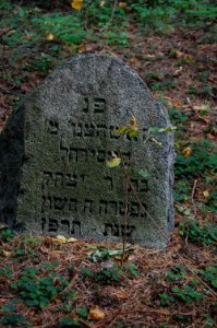 Jewish cemetery in Beshankovichy (13)