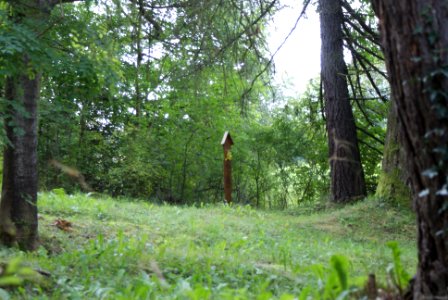 Jewish cemetery in Hartmanice 03
