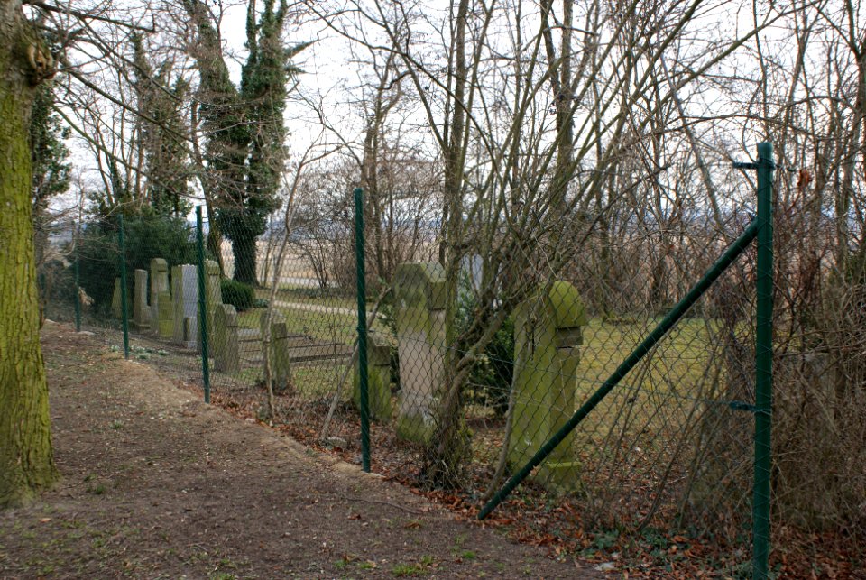 Jewish cemetery in Holice 19
