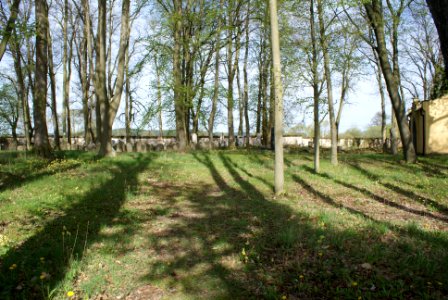 Jewish cemetery in Březnice 36