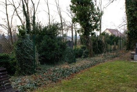 Jewish cemetery in Holice 18