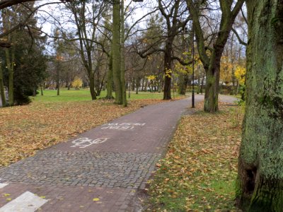 Jelitkowo park 4