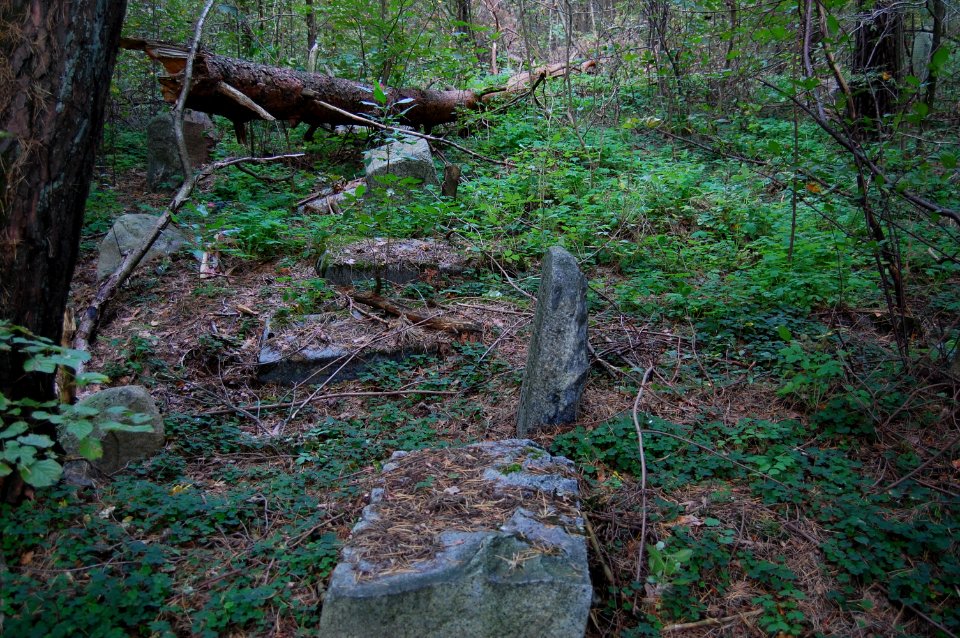 Jewish cemetery in Beshankovichy (11)