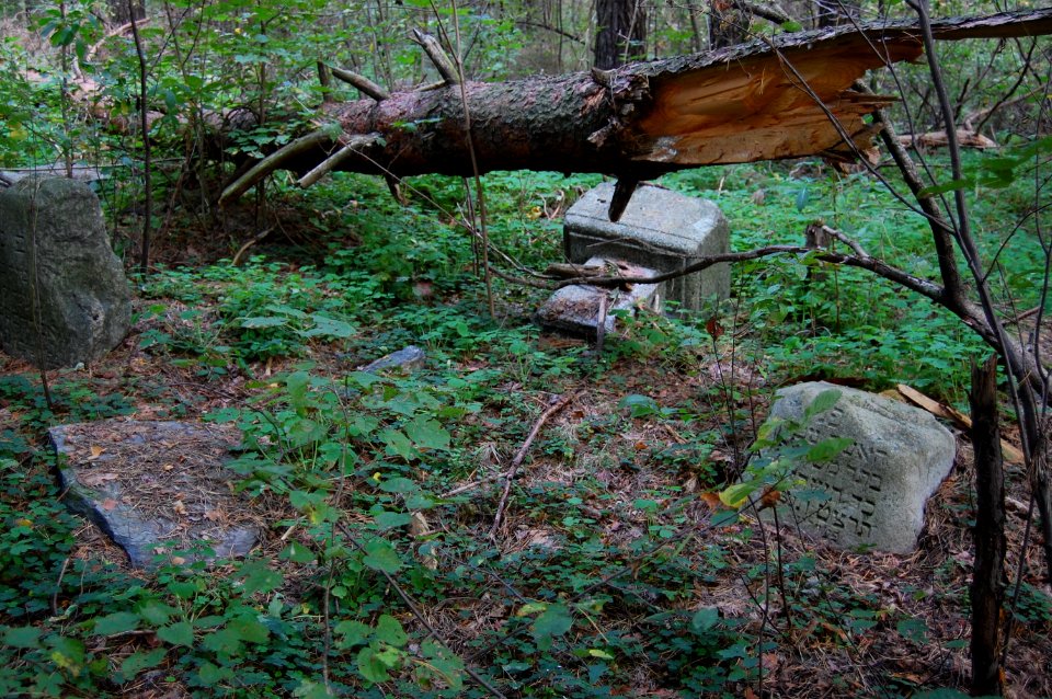 Jewish cemetery in Beshankovichy (18)