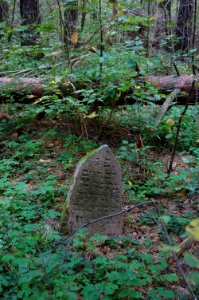 Jewish cemetery in Beshankovichy (15)