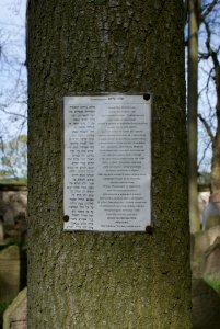 Jewish cemetery in Březnice 34 photo