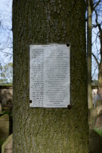 Jewish cemetery in Březnice 34