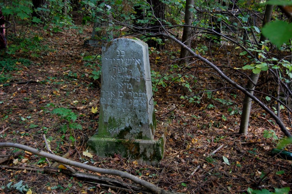 Jewish cemetery in Beshankovichy (21)