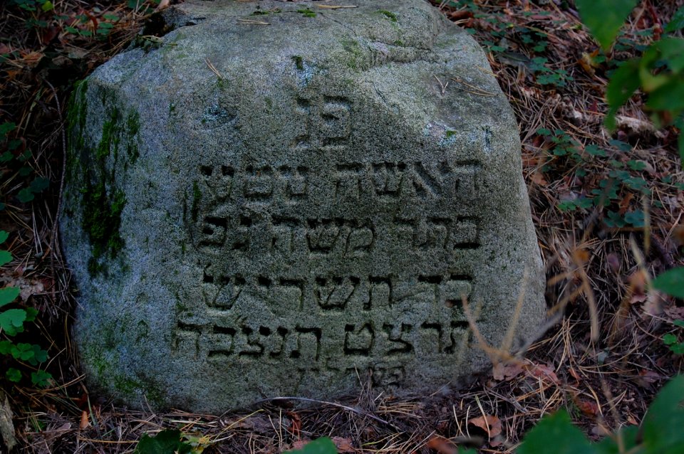 Jewish cemetery in Beshankovichy (17)