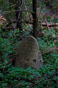 Jewish cemetery in Beshankovichy (14)