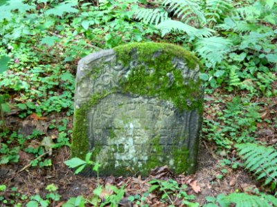 Jewish cemetery in Beshankovichy (2)