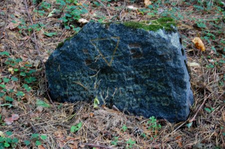 Jewish cemetery in Beshankovichy (12)