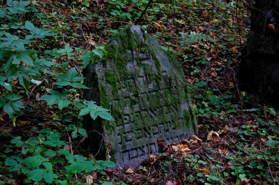 Jewish cemetery in Beshankovichy (23)